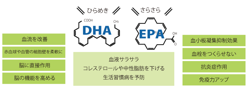 DHAとEPAの相乗効果